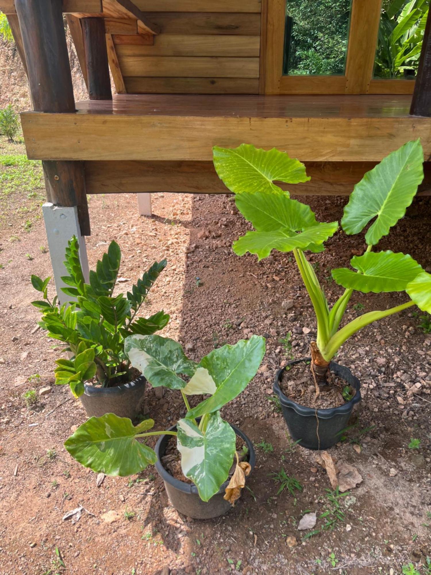 Koh Jum Home Stay Eksteriør bilde